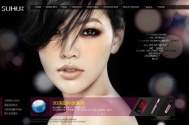 智汇广告--2010最新网页设计作品代表作展示