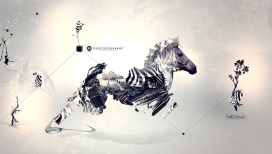 高清晰2011动物混搭插画欣赏-斑马与羚羊的故事