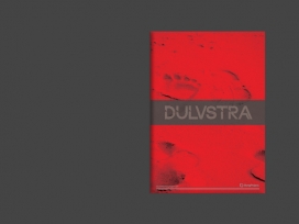 欧美DULVSTRA宣传册排版设计