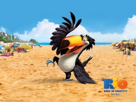 愤怒的小鸟！美国家庭冒险喜剧动画卡通片《里约大冒险Rio》宣传网站海报壁纸