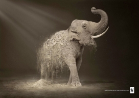 WWF世界自然基金会荒漠化平面广告