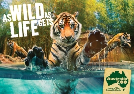 Australia Zoo动物园平面广告