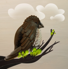 传说中的森林战斗机-自然摄影师与鸟的插画