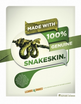 蜥蜴和蛇平面广告