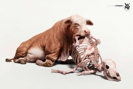 动物骨架的创意-WMF世界建筑文物保护基金会平面广告-