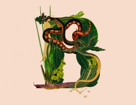 动植物科学英文字母插图-葡萄牙里斯本Ninai Freitas插画师作品