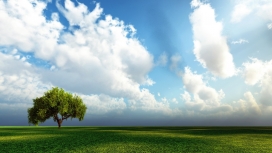 单树-大自然绿色美景，蓝天加白云