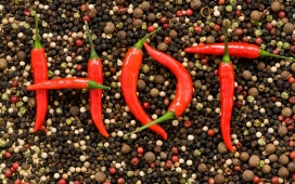 热调味品-辣椒组合的HOT字母