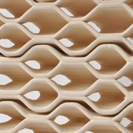 建筑陶瓷3D印刷砖-荷兰Brian Peters设计师作品
