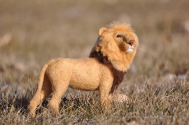 毛绒针毡制的非洲狮子玩具