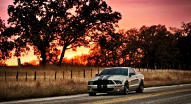 黄昏行驶在马路上的福特Shelby HDR轿车