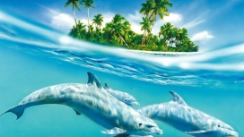 海豚岛