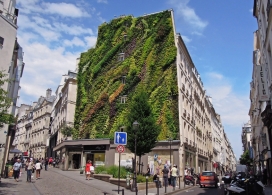绿墙屋-房屋建筑位于巴黎，有五层高，侧面被7600株绿树爬山虎覆盖