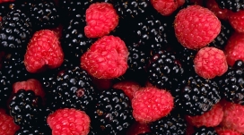 浆果-红黑野草莓桑葚