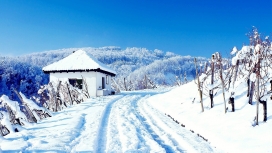 冬季白色雪景