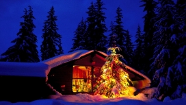 圣诞之夜-房屋外的圣诞树夜景