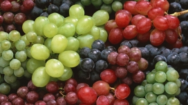 Grapes红提青提葡萄水果壁纸