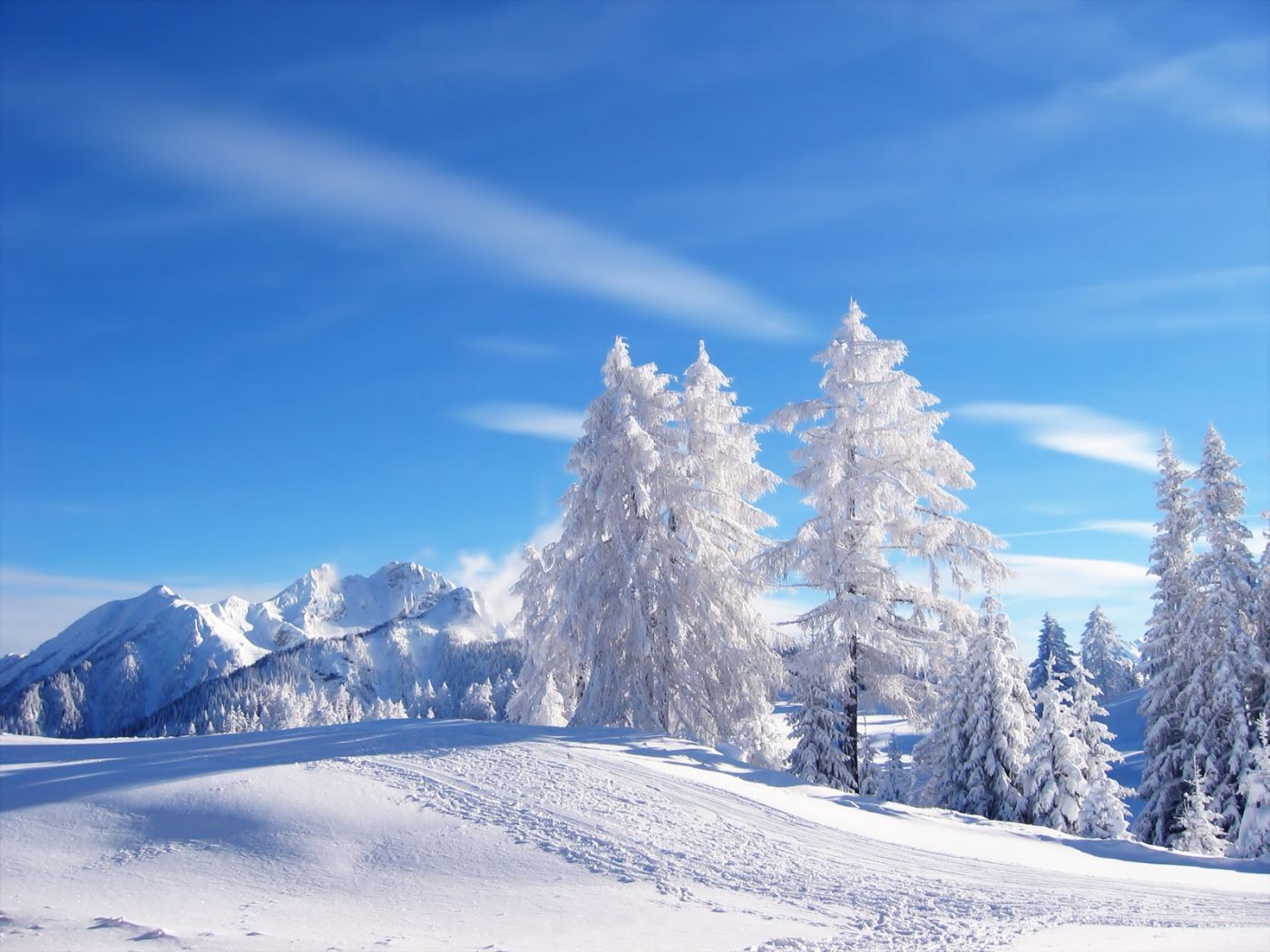 高清晰冬季雪树壁纸封面大图