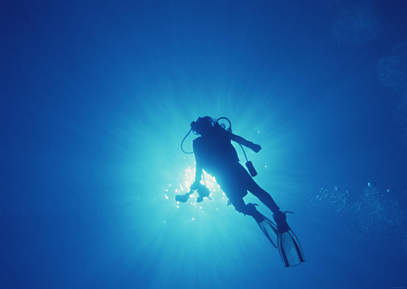 【自由潜水】感受世界上最美的自由潜水运动 Lexie Limitless-The Most Beautiful Free Diving in ...
