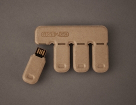 GIGS.2.GO™便携式纸浆盒U盘存储卡设计-设计师采用廉价，信用卡大小的存储卡，用一个快速，简单的方法来共享大型文件数据