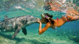 海底亲吻海豚的美诱美女