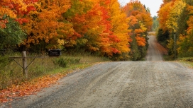 秋季公路壁纸