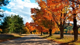 漂亮唯美的秋季小道