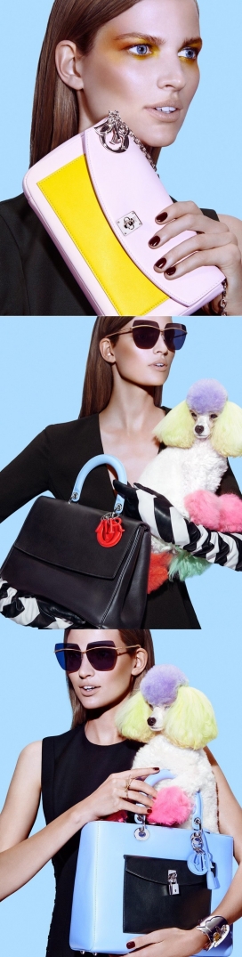 贝蒂弗兰卡-秋款袋为Dior杂志写真