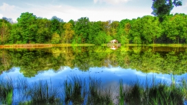 高清晰绿色池塘湖倒影美景