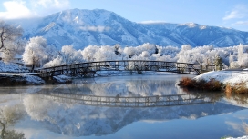 高清晰可爱的冬季湖美景