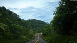 丛林之路