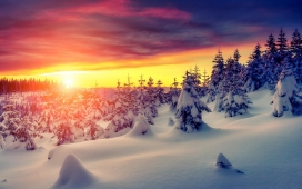 高清晰日落后的冬季雪景壁纸下载
