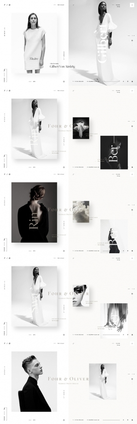 Føhr-一个虚构的网站设计和视觉识别设计