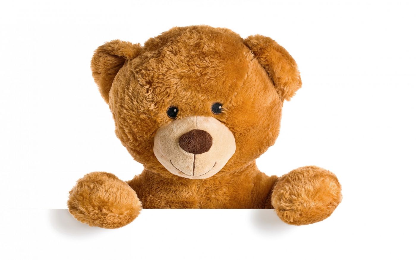 可爱的泰迪熊坐和微笑平面广告素材免费下载(图片编号:2028854)-六图网