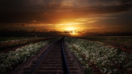 日落下的铁路壁纸