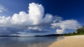 蓝天白云下的平静海洋沙滩棕榈树
