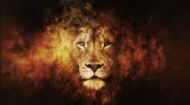LION狮子艺术PS照片
