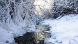 结冻的雪树河