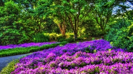 紫园林