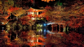 可爱的日式花园夜景壁纸