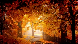 高清晰秋季风景壁纸高清大图下载