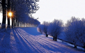 高清晰冬季唯美的雪壁纸下载下载
