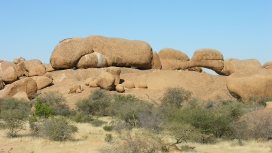 高清晰沙漠岩石树