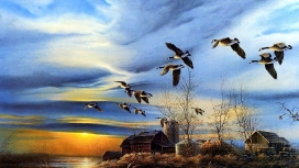 日落下的农家屋湖鸭