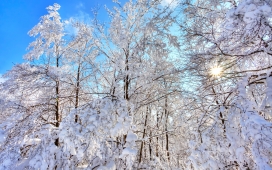 高清晰唯美冬季雪景自然景色壁纸下载