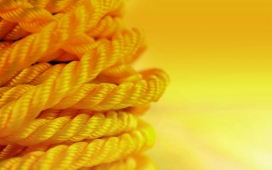 高清晰金色的绳子