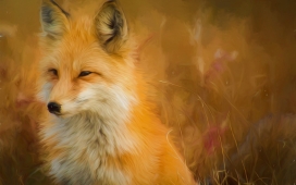 高清晰可爱的油画狐狸壁纸