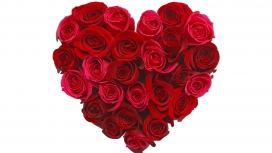 红色玫瑰拼成的爱心