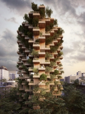 多伦多交叉层木材树塔建在