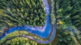无人机拍摄的环高速公路森林壁纸